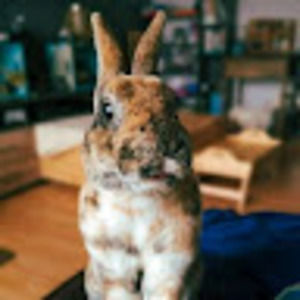 Meet your Posher, Marilyne